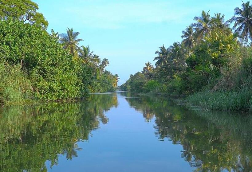 Hôtel Pegasus Reef   A Beach Resort In Colombo