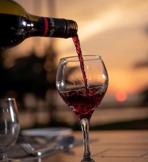 酒店 Pegasus Reef   A Beach Resort In Colombo