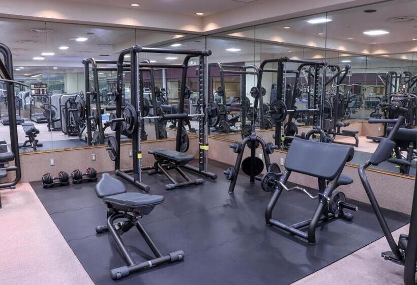 Premier Hotel  Tsubaki  Sapporo