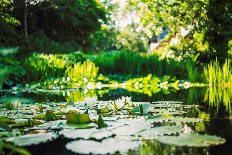 Relais & Châteaux Landhaus Stricker, Hotel Des Jahres 2023