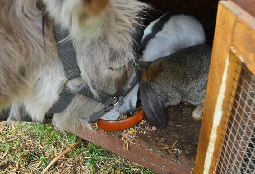 فندق Schlosswirt