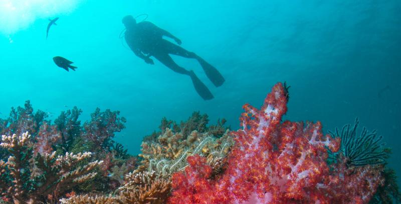 בית מלון כפרי Tanjong Jara Resort