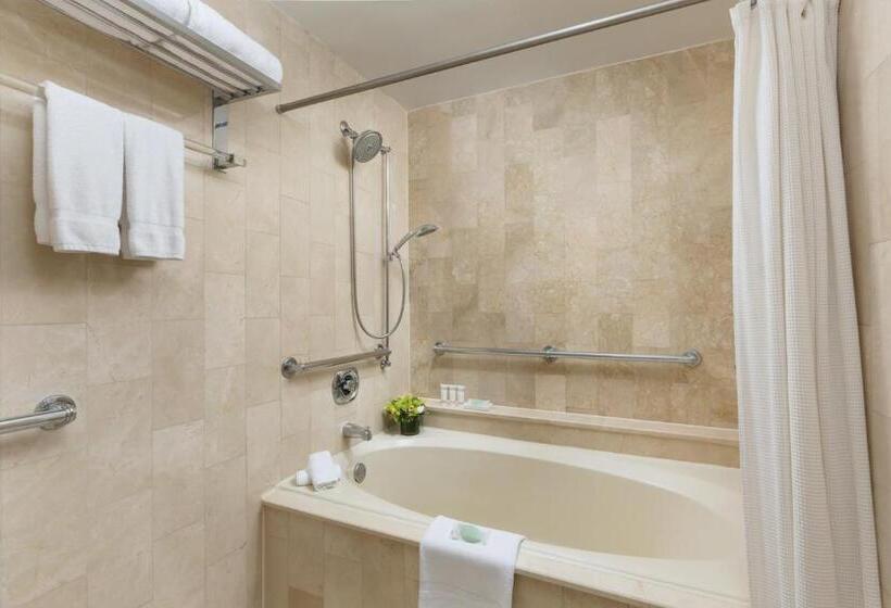 호텔 The Michelangelo