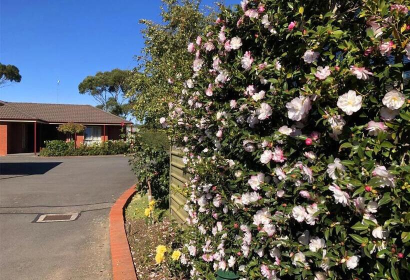 호텔 Victoriana Motor Inn