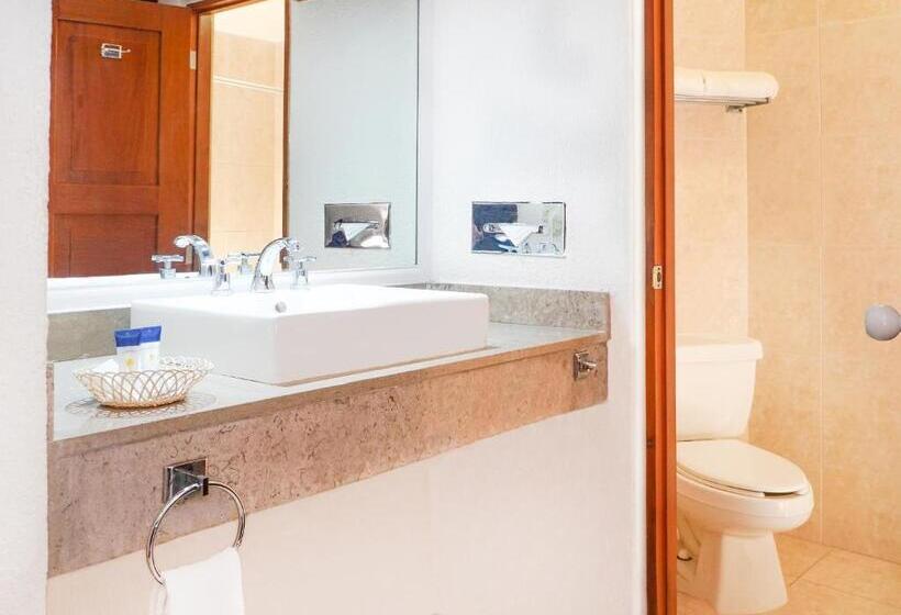 酒店 Viva Villahermosa