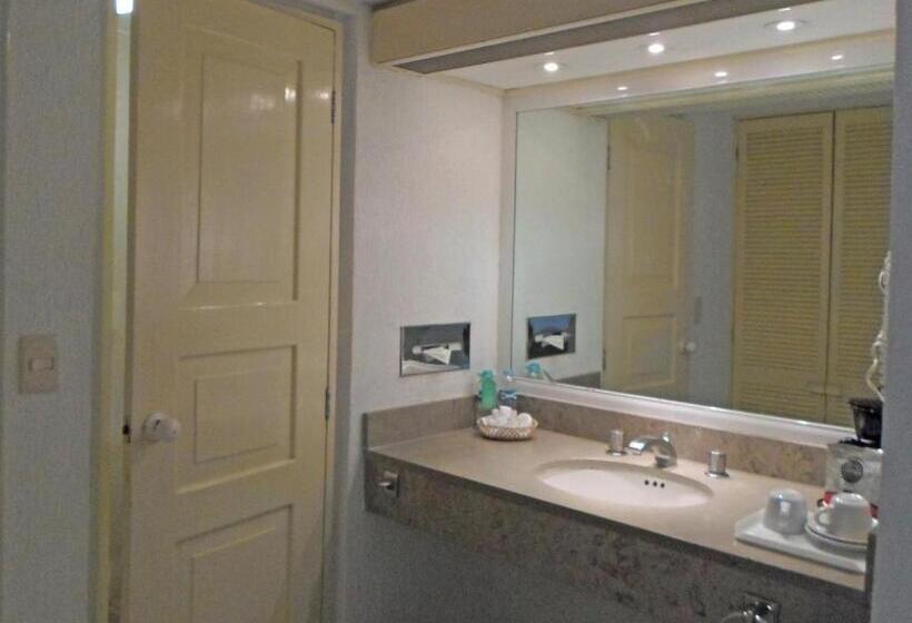 酒店 Viva Villahermosa