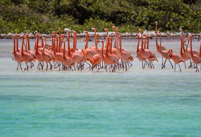 אתר נופש Harbour Village Beach Club