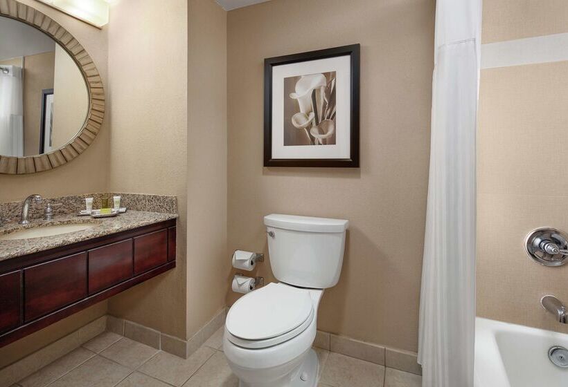 渡假胜地 Hilton Orlando Lake Buena Vista Disney Springs® Area