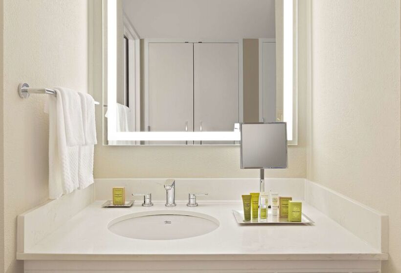 渡假胜地 Hilton Orlando Lake Buena Vista Disney Springs® Area