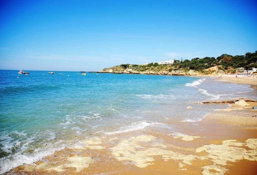 Apartamentos Turisticos Soldoiro