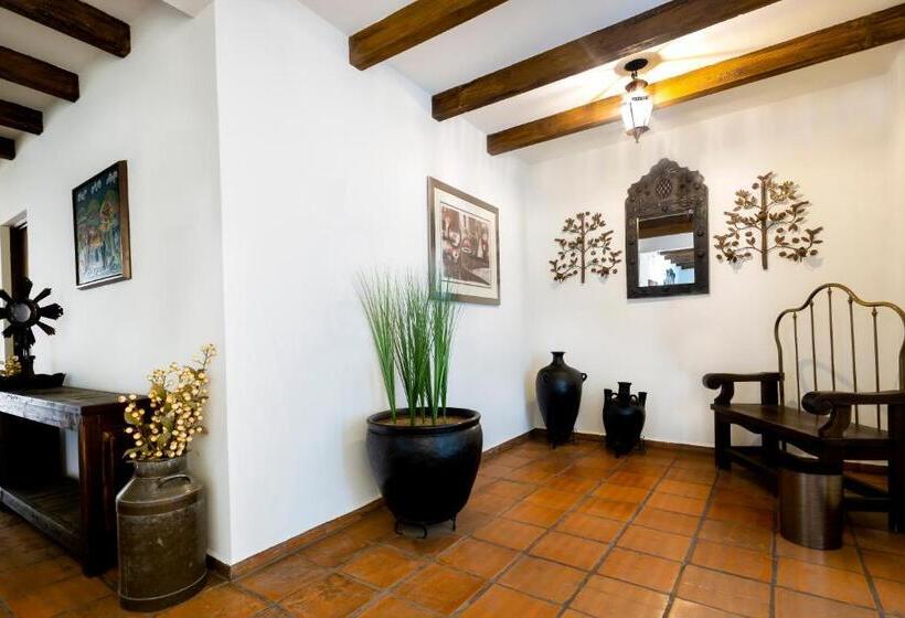 فندق فئة نجمة واحدة Boutique Naura Centro