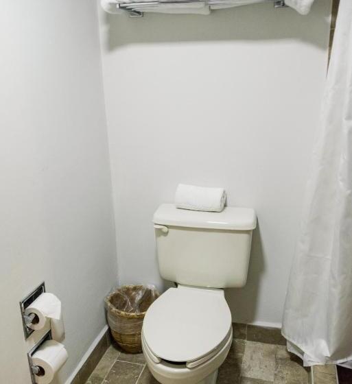 فندق فئة نجمة واحدة Boutique Naura Centro