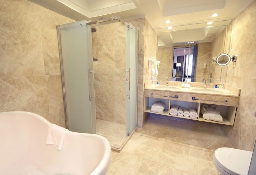 هتل Akgun Istanbul