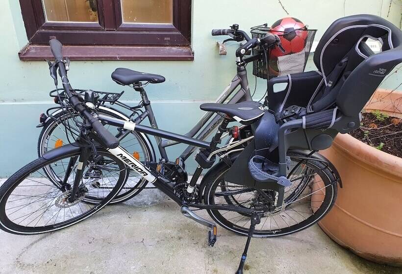 هتل Altwienerhof Boutique