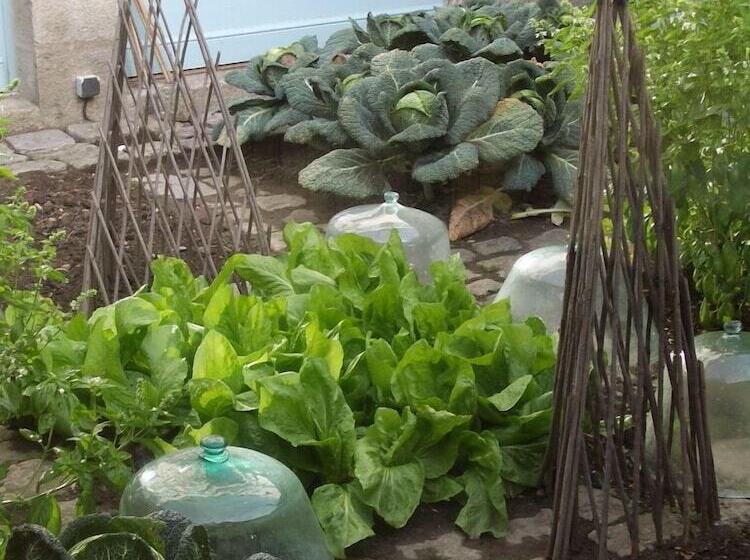 ホテル Auberge Bretonne