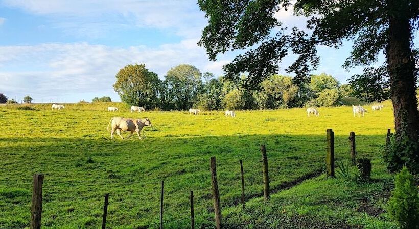 酒店 Château De Bellefontaine   Teritoria