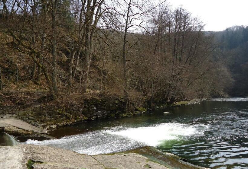 هتل Dirbach Plage