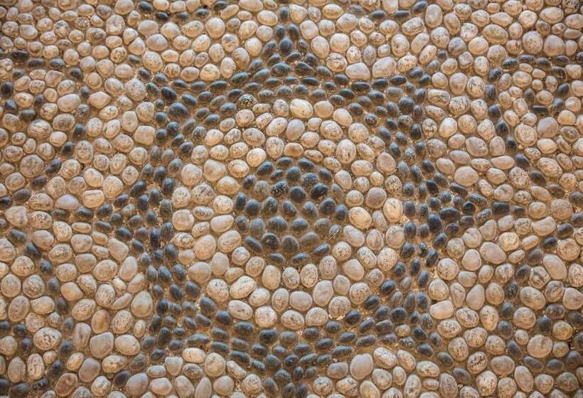 هتل Fiesta Inn Oaxaca