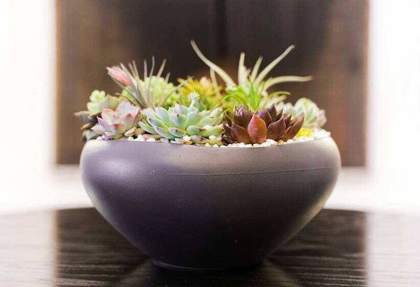 בית מלון כפרי Harbor Court