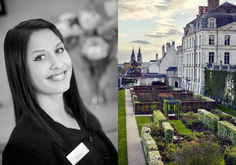 Отель Hôtel Mercure Blois Centre