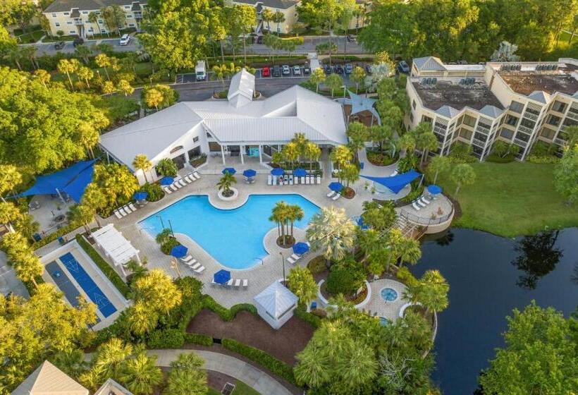 ホテル Marriott's Royal Palms