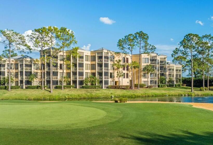 ホテル Marriott's Royal Palms