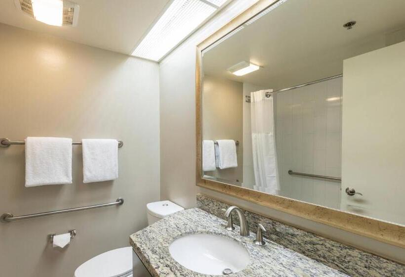 ホテル Marriott's Royal Palms