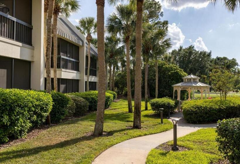 فندق Marriott's Sabal Palms