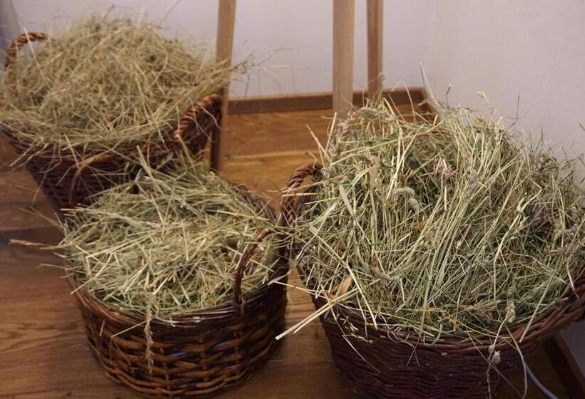 فندق Nationalpark Lodge Grossglockner