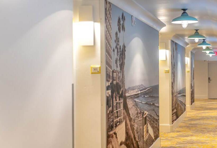 هتل Ocean Park Inn