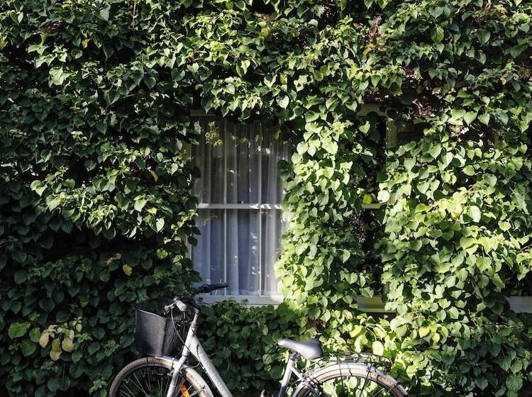 בית מלון כפרי Old Parsonage