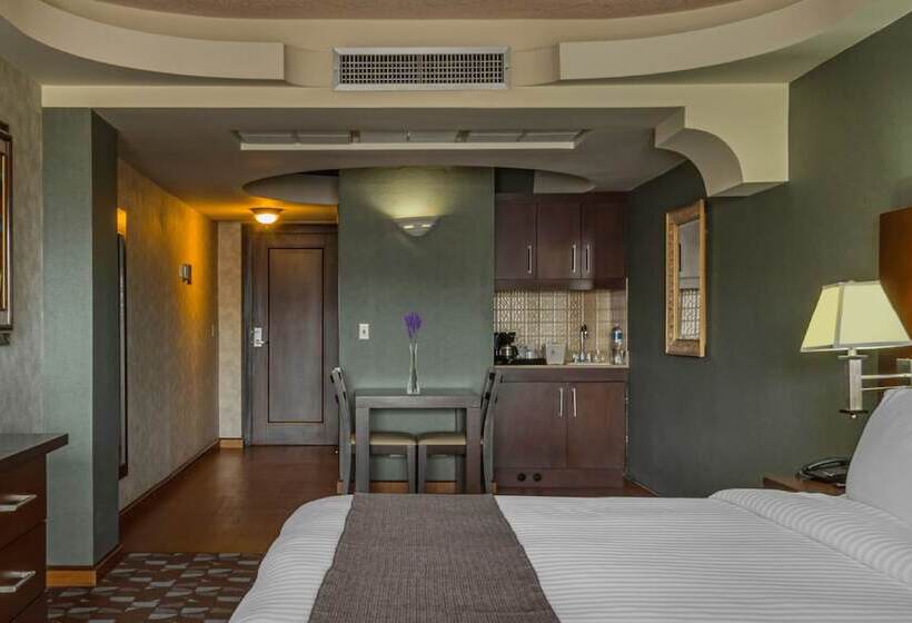 هتل Plaza San Martin