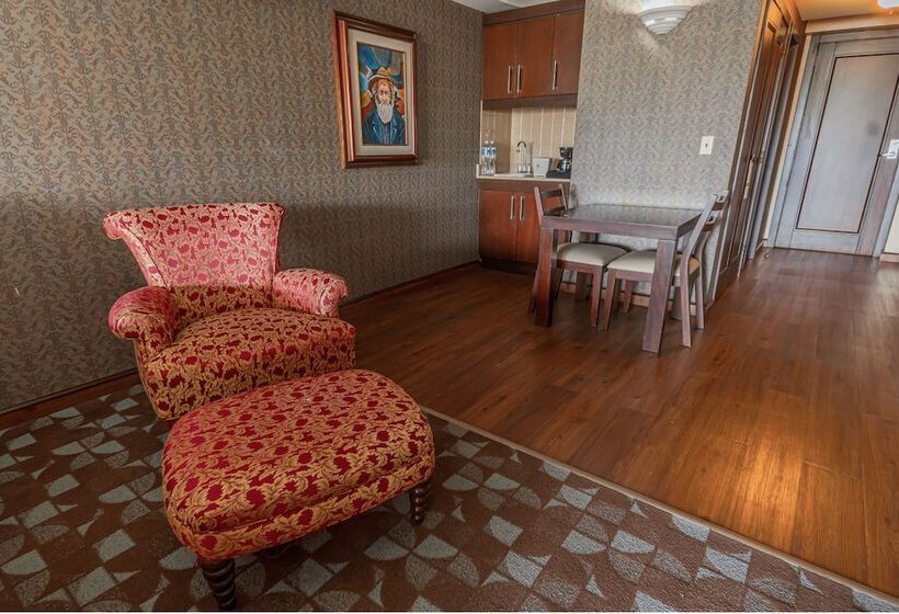 هتل Plaza San Martin