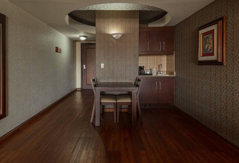 هتل Plaza San Martin