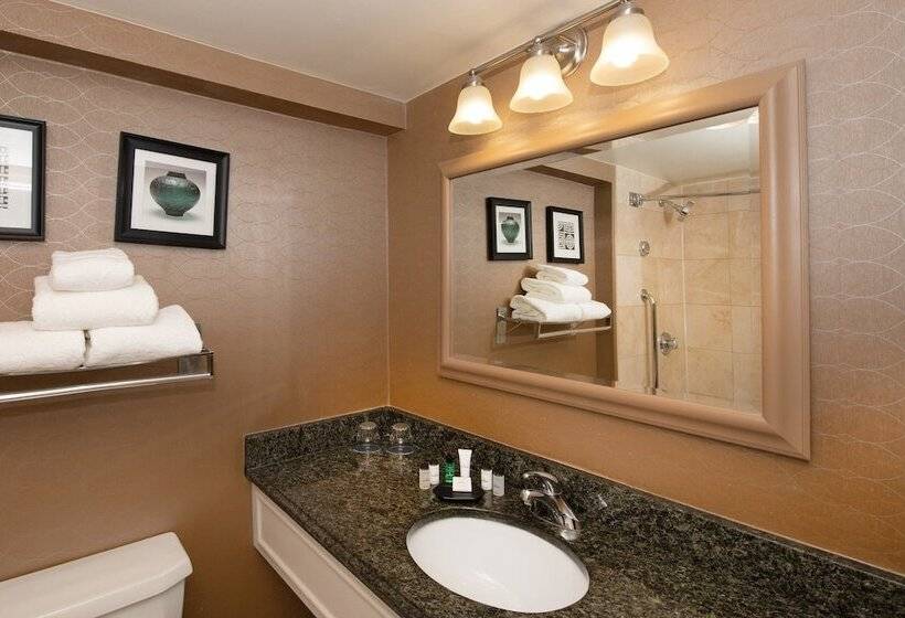 호텔 Sheraton Hartford South