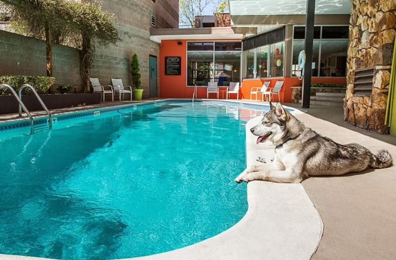 Отель Staypineapple, University Inn, University District Seattle