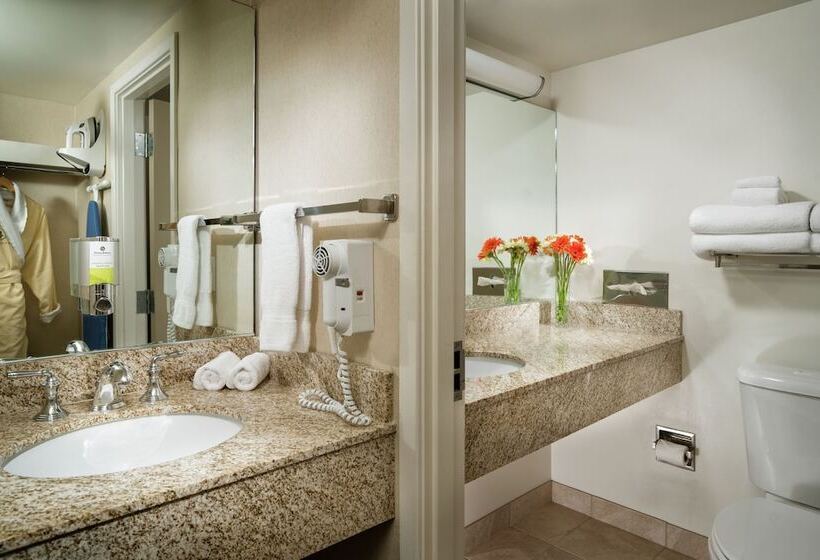 Отель Staypineapple, University Inn, University District Seattle