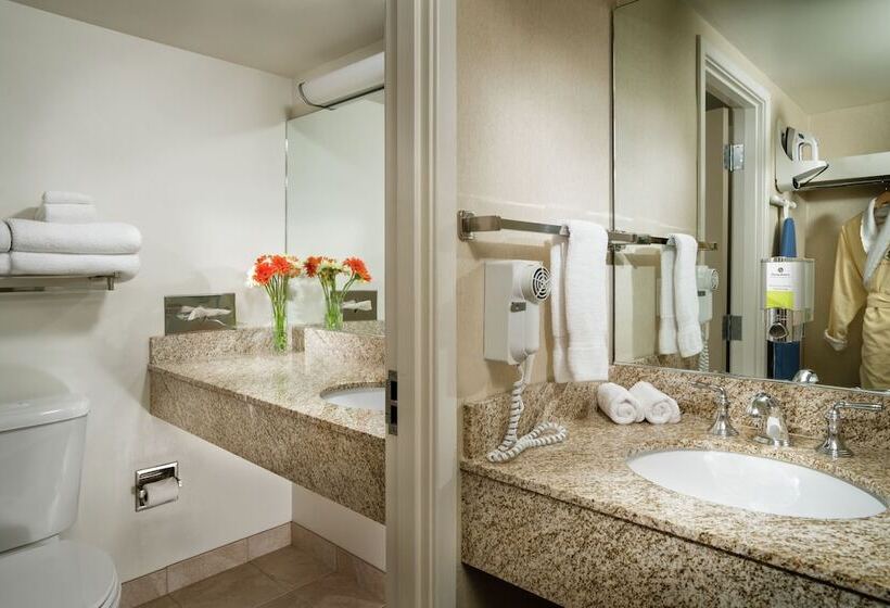 Отель Staypineapple, University Inn, University District Seattle