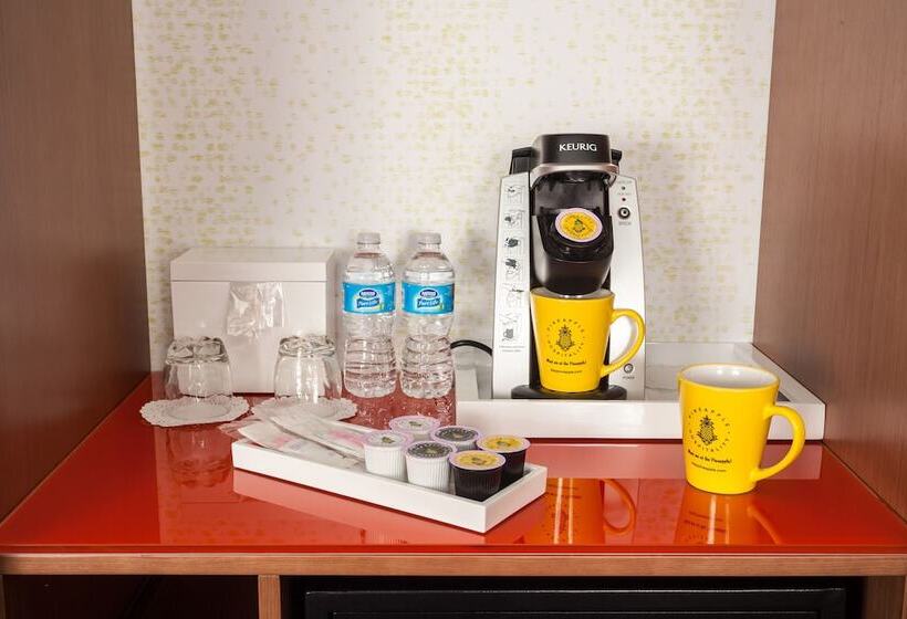 Отель Staypineapple, University Inn, University District Seattle