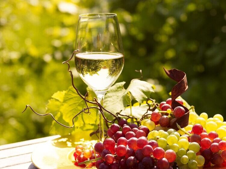 Steigenberger Hotel & Spa Krems