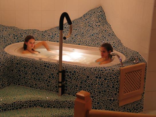 ホテル Sunny Traublingerhof