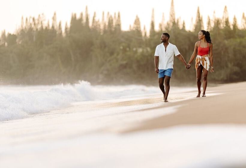 فندق The Ritz Carlton Maui, Kapalua