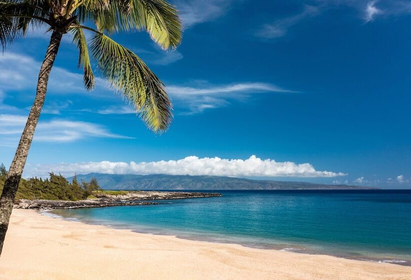فندق The Ritz Carlton Maui, Kapalua