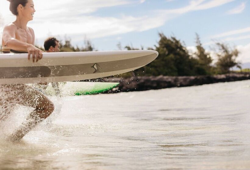 فندق The Ritz Carlton Maui, Kapalua