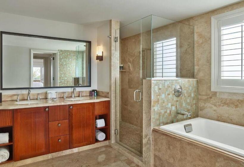 فندق The Ritz Carlton Maui, Kapalua