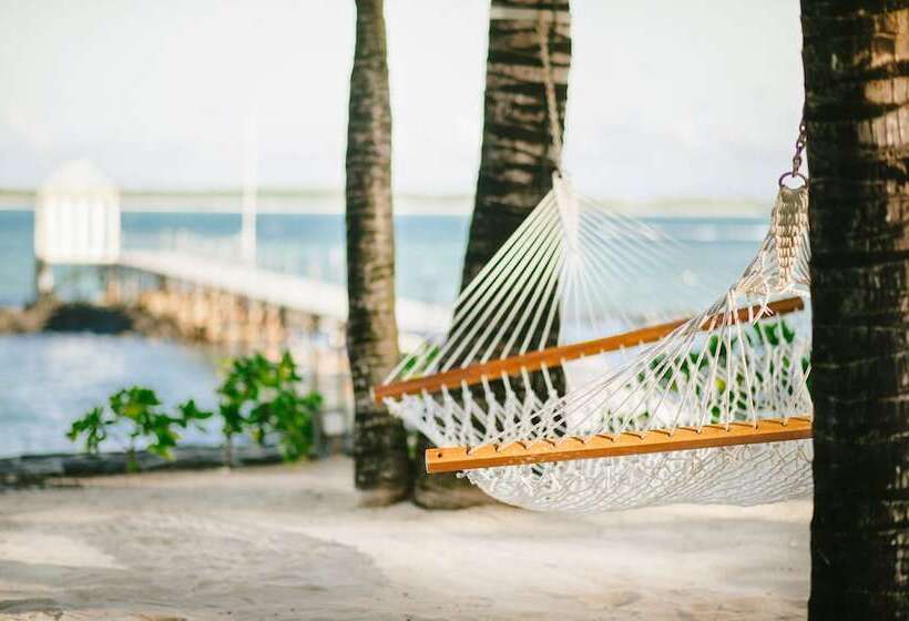 Hotel Tropical Attitude