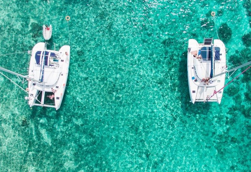 Hotel Tropical Attitude