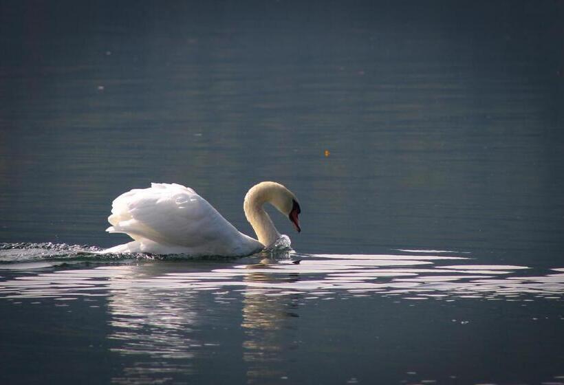 فندق Seefischer   Finest Hideaway