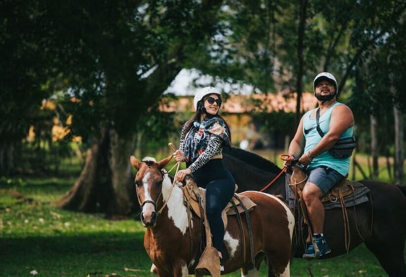 Tilajari Hotel Resort