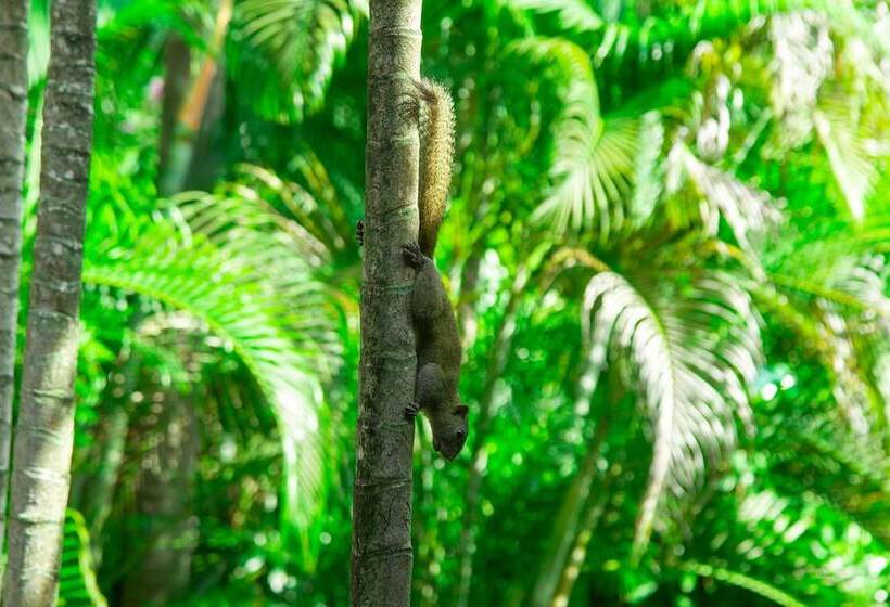 Berjaya Langkawi Resort
